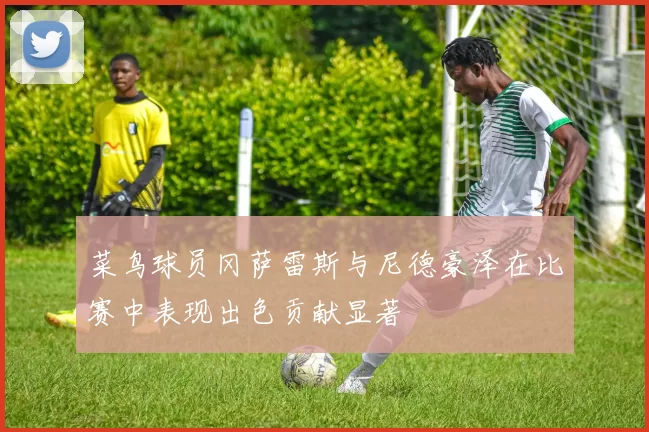 菜鸟球员冈萨雷斯与尼德豪泽在比赛中表现出色贡献显著